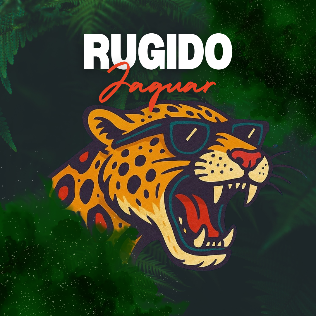 Program Image